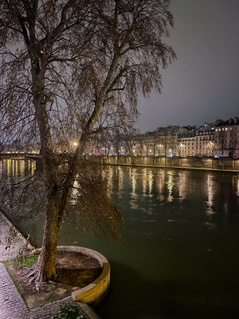 Seine night quais