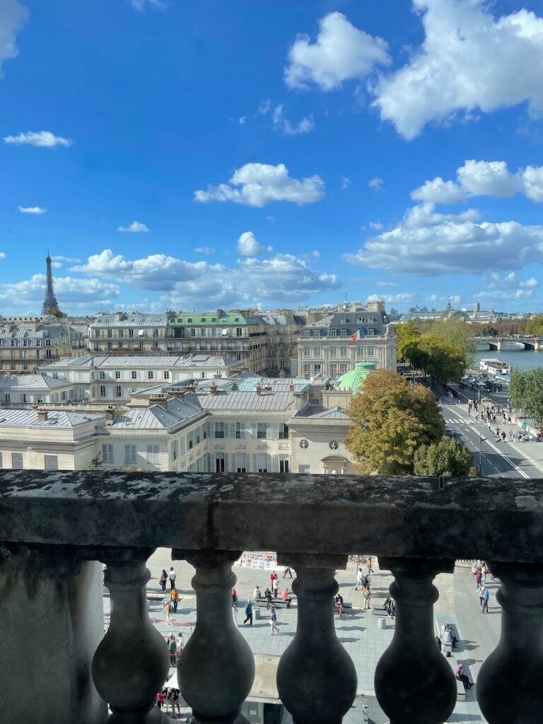 Room with a view paris